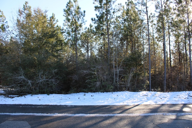 TBD Sid Hayes Rd, Jay FL, 32565 land for sale