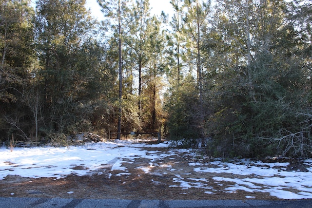 Listing photo 3 for TBD Sid Hayes Rd, Jay FL 32565