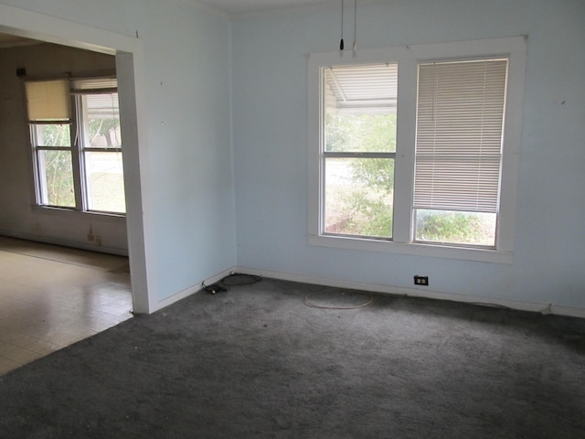 empty room featuring carpet floors