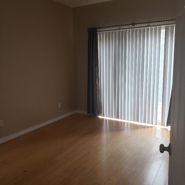 empty room with wood-type flooring