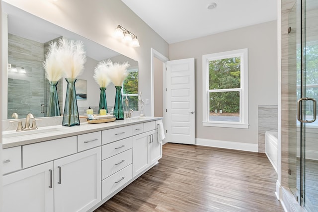 bathroom with wood-type flooring, plus walk in shower, and vanity