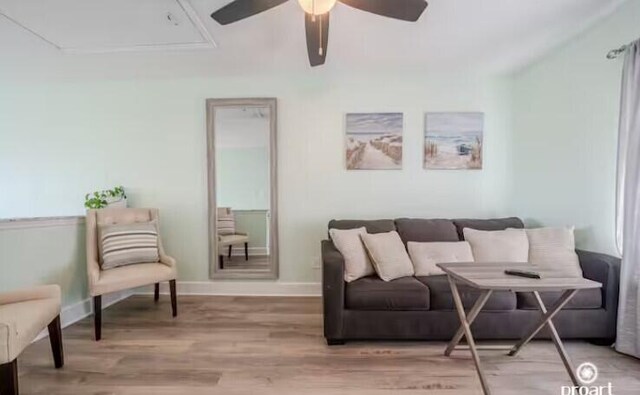 living room with ceiling fan and hardwood / wood-style floors