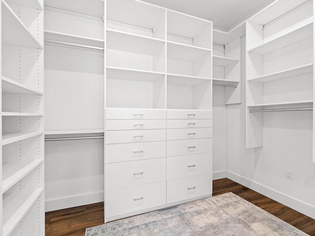 walk in closet with dark hardwood / wood-style floors