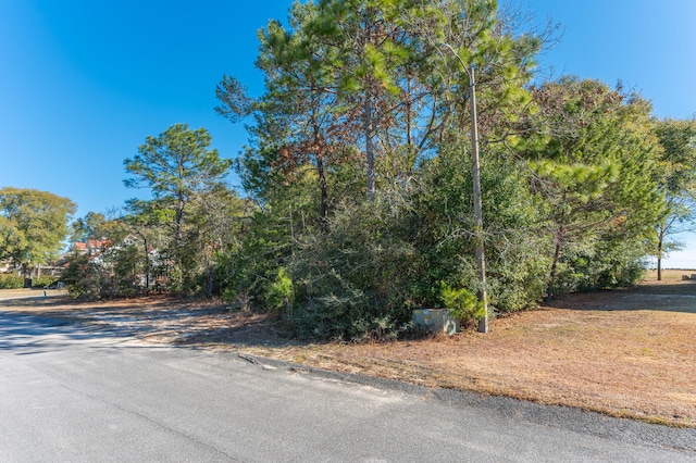 Listing photo 3 for LOT12 Country Club Dr, Defuniak Springs FL 32435