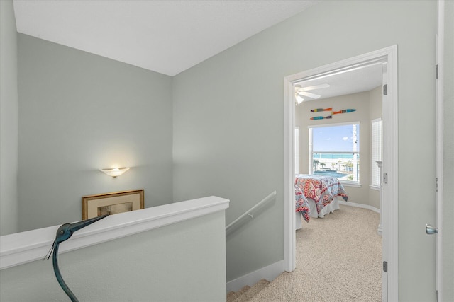 hallway featuring carpet floors