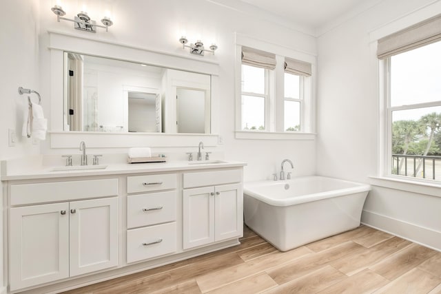 bathroom with a washtub, a wealth of natural light, and vanity