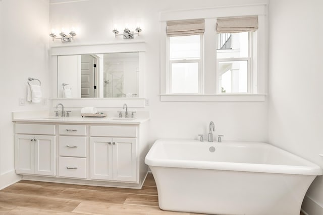 bathroom featuring hardwood / wood-style floors, vanity, and plus walk in shower