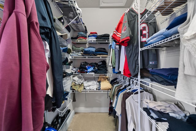 spacious closet with carpet