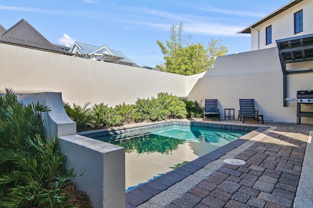 view of swimming pool featuring area for grilling and a patio area