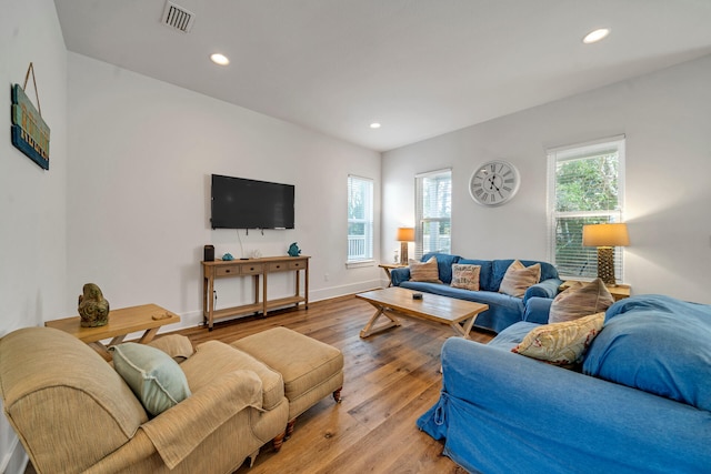 living room featuring plenty of natural light and light hardwood / wood-style flooring