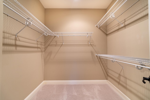 walk in closet with carpet floors