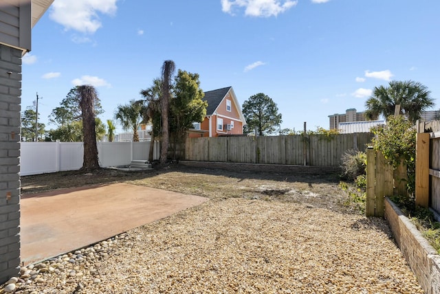 view of yard featuring a patio