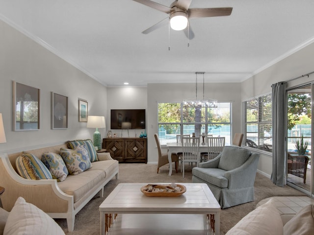 carpeted living room with ceiling fan with notable chandelier and ornamental molding