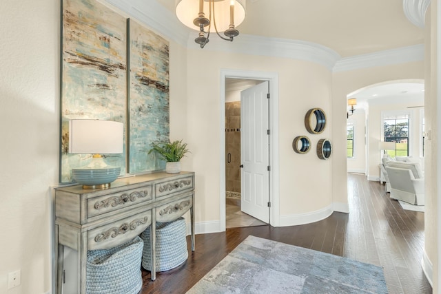 hallway with ornamental molding and dark hardwood / wood-style floors