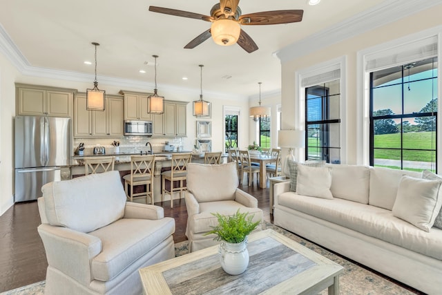 living room with sink, crown molding, dark hardwood / wood-style floors, and ceiling fan