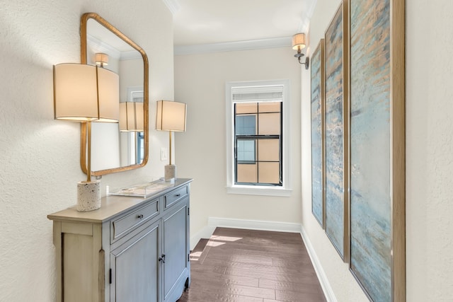 hall featuring crown molding and dark wood-type flooring