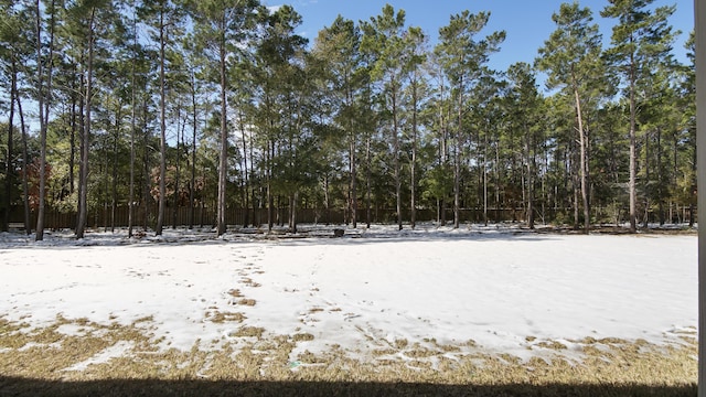 view of yard layered in snow