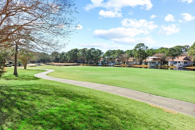 view of community with a yard