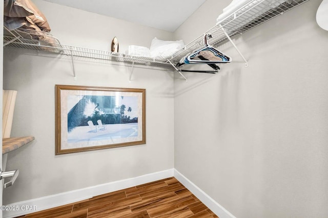 spacious closet with wood-type flooring