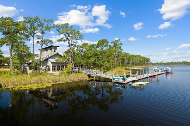 dock area with a water view