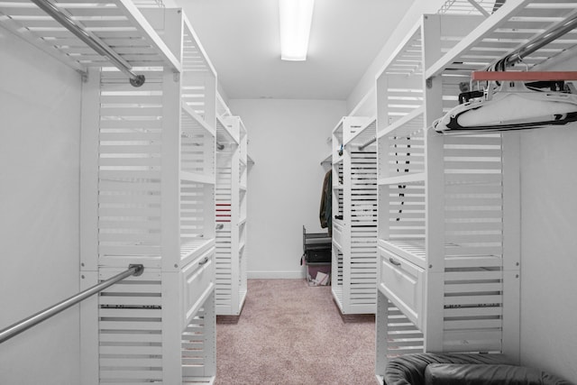 walk in closet with carpet floors