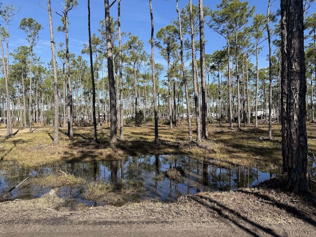 4 Foxmire Farm Rd, Santa Rosa Beach FL, 32459 land for sale