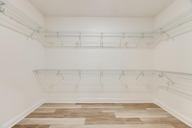 walk in closet featuring wood-type flooring