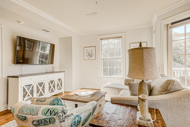 living room featuring crown molding and hardwood / wood-style floors