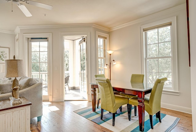 dining space with crown molding, ceiling fan, and light hardwood / wood-style floors