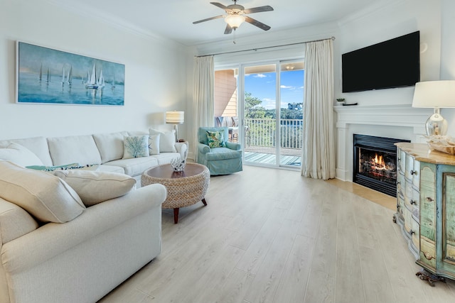 living room featuring ornamental molding, ceiling fan, and light hardwood / wood-style flooring