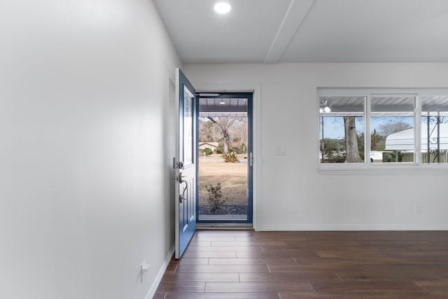 foyer with plenty of natural light and dark hardwood / wood-style flooring