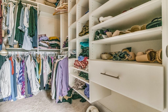 spacious closet featuring carpet