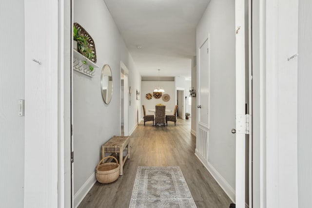 hall featuring a notable chandelier and wood-type flooring