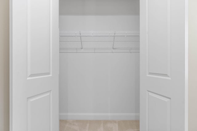 view of closet