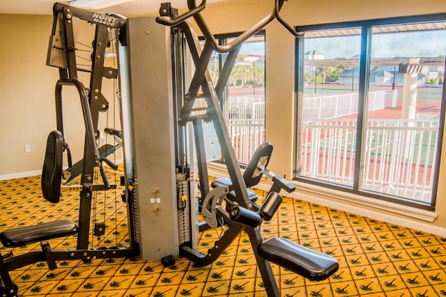 workout room featuring carpet floors