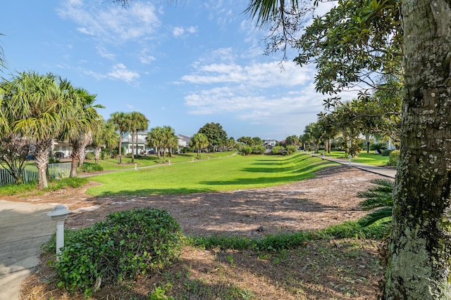 view of community with a lawn