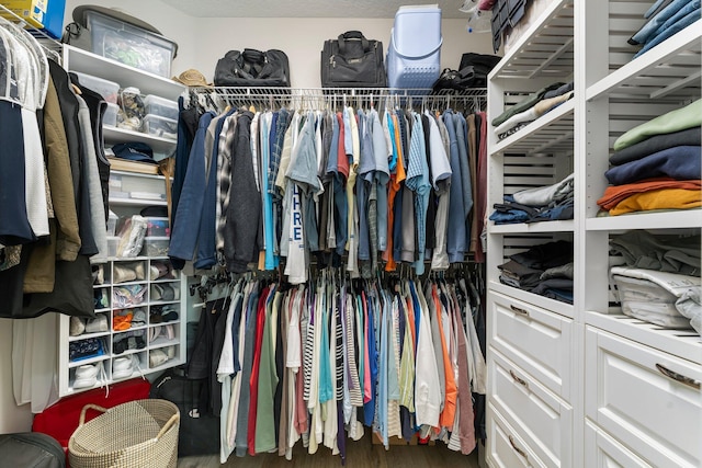 spacious closet featuring dark wood-type flooring