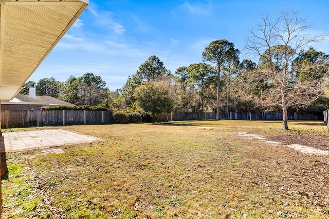 view of yard featuring a patio area