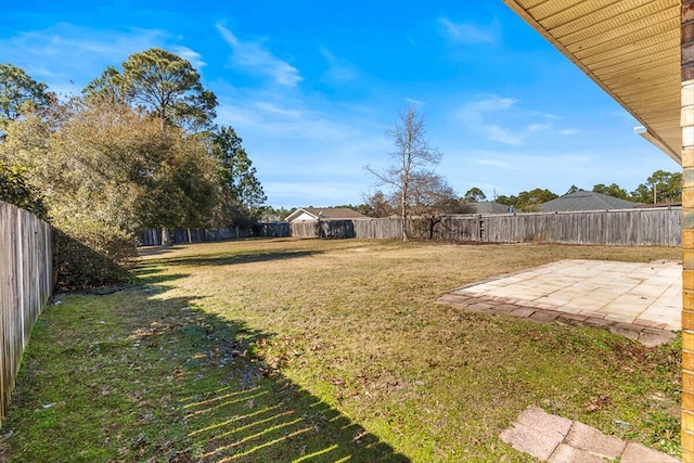 view of yard featuring a patio