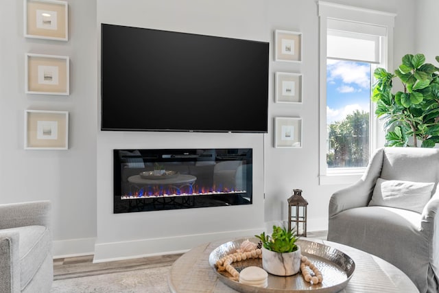 living room featuring hardwood / wood-style flooring