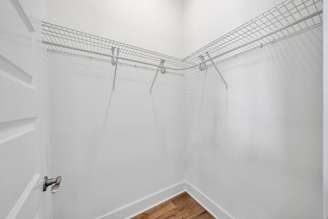 walk in closet featuring dark wood-type flooring