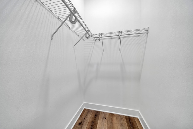 walk in closet with wood-type flooring