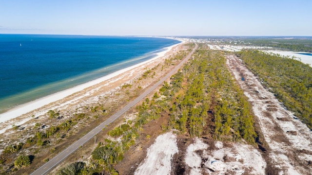 bird's eye view with a water view and a view of the beach