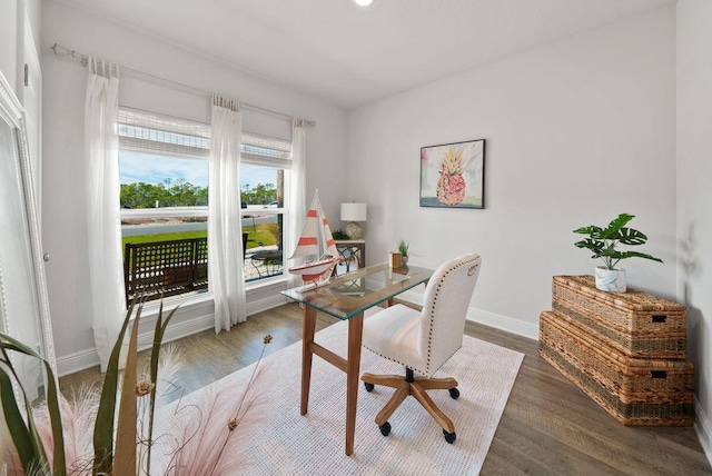 office space featuring dark hardwood / wood-style flooring