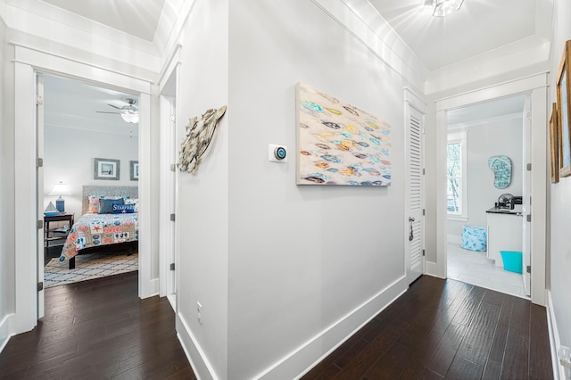 entrance foyer with ornamental molding, ceiling fan, and dark hardwood / wood-style flooring