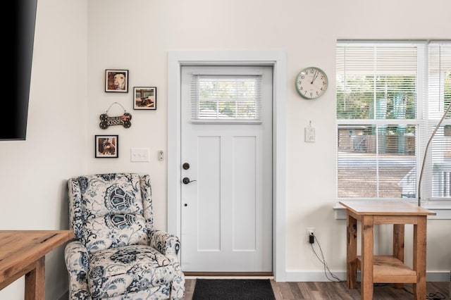 entryway with hardwood / wood-style flooring and a healthy amount of sunlight