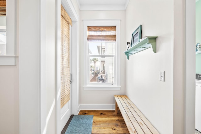 mudroom featuring crown molding and hardwood / wood-style flooring