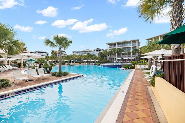 view of swimming pool featuring a patio