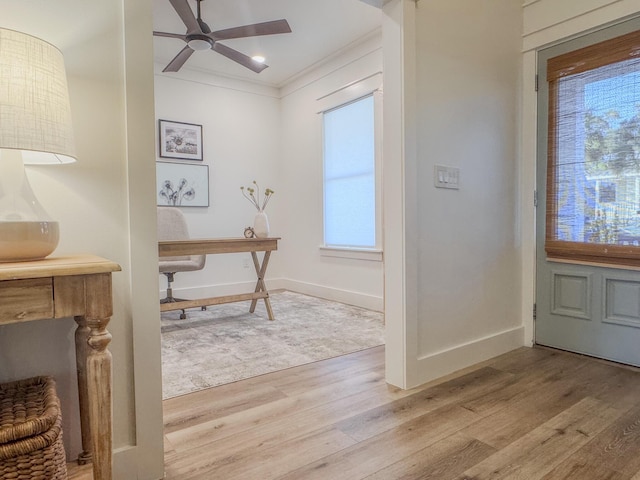 office featuring ornamental molding, light hardwood / wood-style floors, and ceiling fan