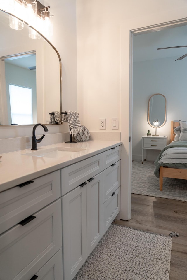 bathroom with wood-type flooring and vanity